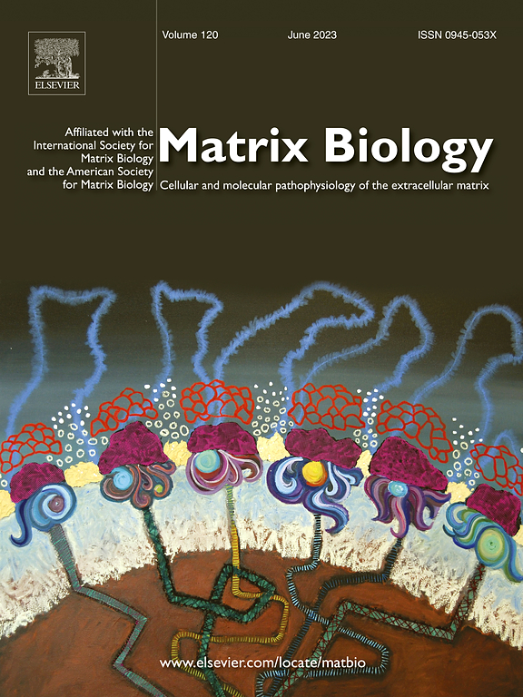 Go to journal home page - Matrix Biology
